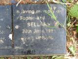 image of grave number 792845
